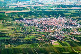 Vue aérienne de Weisenheim am Sand dans le département Rhénanie-Palatinat, Allemagne