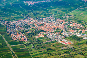 Vue d'oiseau de Freinsheim dans le département Rhénanie-Palatinat, Allemagne