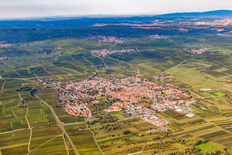 Freinsheim dans le département Rhénanie-Palatinat, Allemagne vue du ciel