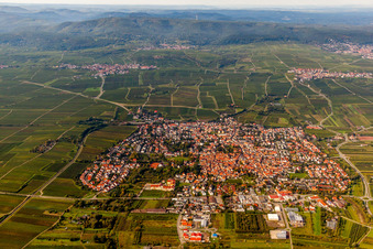 Vue aérienne de Champs agricoles et terres agricoles à Freinsheim dans le département Rhénanie-Palatinat, Allemagne
