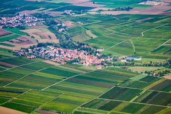 Vue aérienne de Sausenheim à Bissersheim dans le département Rhénanie-Palatinat, Allemagne