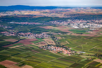 Vue aérienne de Sausenheim à Bissersheim dans le département Rhénanie-Palatinat, Allemagne