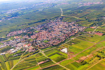 Vue aérienne de Vue de la ville depuis le nord à Freinsheim dans le département Rhénanie-Palatinat, Allemagne