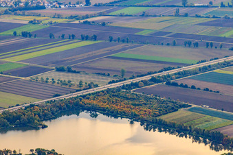 Vue aérienne de Étang de Lambsheim à Lambsheim dans le département Rhénanie-Palatinat, Allemagne