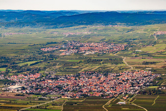 Weisenheim am Sand dans le département Rhénanie-Palatinat, Allemagne depuis l'avion
