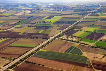 Vue aérienne de Station d'épuration Lambsheim sur l'A61 à Lambsheim dans le département Rhénanie-Palatinat, Allemagne