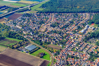 Vue aérienne de Chemin Maxdorer à Maxdorf dans le département Rhénanie-Palatinat, Allemagne