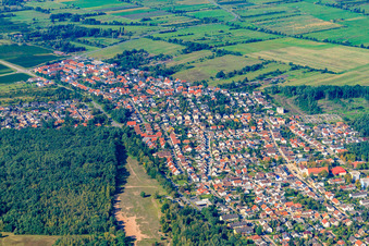 Vue aérienne de Rue Mannheimer à Birkenheide dans le département Rhénanie-Palatinat, Allemagne