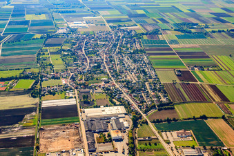 Vue aérienne de Vue de la ville depuis le nord à Fußgönheim dans le département Rhénanie-Palatinat, Allemagne