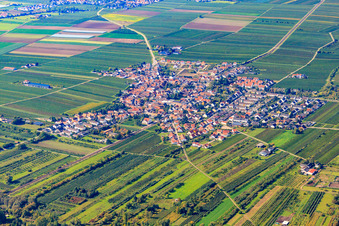 Vue aérienne de Vue du village depuis le nord-est à Ellerstadt dans le département Rhénanie-Palatinat, Allemagne