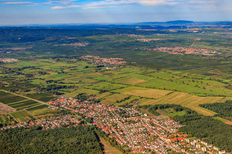 Vue aérienne de Vue du sud-est à Birkenheide dans le département Rhénanie-Palatinat, Allemagne