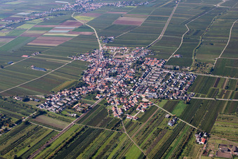 Vue aérienne de Champs agricoles et terres agricoles à Fußgönheim dans le département Rhénanie-Palatinat, Allemagne