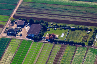 Vue aérienne de Drumm Aussiedlerhof Langgewanne à Fußgönheim dans le département Rhénanie-Palatinat, Allemagne