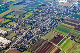 Vue aérienne de Vue de la ville depuis le nord-ouest à Fußgönheim dans le département Rhénanie-Palatinat, Allemagne