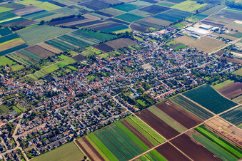 Vue aérienne de Vue de la ville depuis le nord-ouest à Fußgönheim dans le département Rhénanie-Palatinat, Allemagne