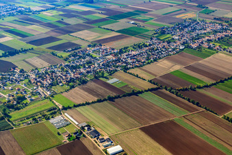 Vue aérienne de Vue du village depuis le nord-est à le quartier Rödersheim in Rödersheim-Gronau dans le département Rhénanie-Palatinat, Allemagne