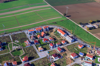 Vue aérienne de Au champ de tabac à Kandel dans le département Rhénanie-Palatinat, Allemagne