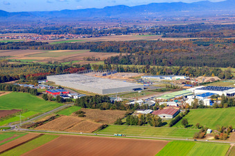 Vue aérienne de Zone industrielle de Horst, 2e phase de construction Gazely Logistics STS Group à le quartier Minderslachen in Kandel dans le département Rhénanie-Palatinat, Allemagne