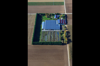 Vue oblique de Sudetenhof à Steinweiler dans le département Rhénanie-Palatinat, Allemagne