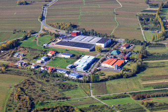 Vue aérienne de WG Deutsches Weintor à Ilbesheim bei Landau dans le département Rhénanie-Palatinat, Allemagne