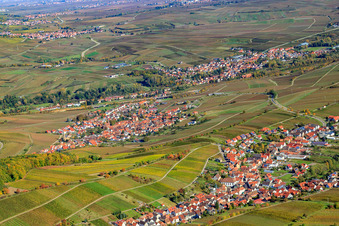 Vue aérienne de Villages viticoles Ranschbach et Birkweiler au bord du Haardt depuis le sud à Ranschbach dans le département Rhénanie-Palatinat, Allemagne