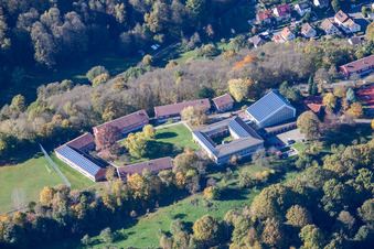 Vue aérienne de Lycée privé Trifels à Annweiler am Trifels dans le département Rhénanie-Palatinat, Allemagne