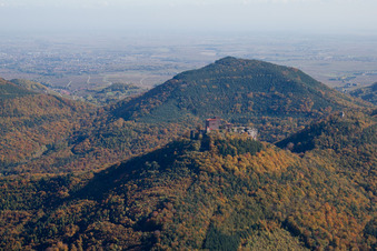 Vue oblique de Château de Trifels à Annweiler am Trifels dans le département Rhénanie-Palatinat, Allemagne