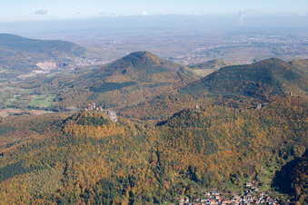 Vue aérienne de Les 4 châteaux Trifels, Anebos, Jungturm et Münz à Leinsweiler dans le département Rhénanie-Palatinat, Allemagne