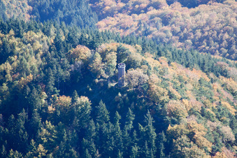 Vue aérienne de Tour de Rehberg à Waldrohrbach dans le département Rhénanie-Palatinat, Allemagne