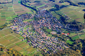 Photographie aérienne de Village derrière le château de Landeck à Klingenmünster dans le département Rhénanie-Palatinat, Allemagne