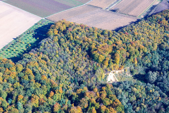 Vue aérienne de Bac à sable dans la forêt à le quartier Ingenheim in Billigheim-Ingenheim dans le département Rhénanie-Palatinat, Allemagne