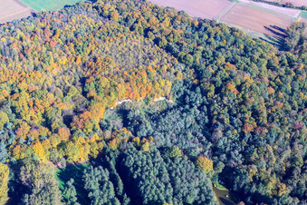 Photographie aérienne de Bac à sable dans la forêt à le quartier Ingenheim in Billigheim-Ingenheim dans le département Rhénanie-Palatinat, Allemagne