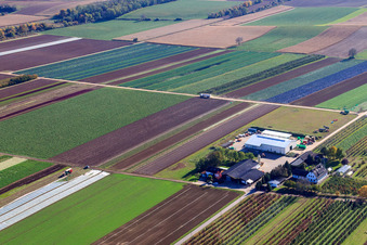 Vue aérienne de Le jardin de Bauer vu du nord-ouest à Winden dans le département Rhénanie-Palatinat, Allemagne