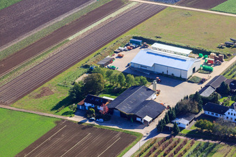 Vue aérienne de Le jardin de Bauer vu du nord-ouest à Winden dans le département Rhénanie-Palatinat, Allemagne