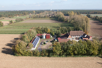 Leistenmühle à Erlenbach bei Kandel dans le département Rhénanie-Palatinat, Allemagne d'en haut