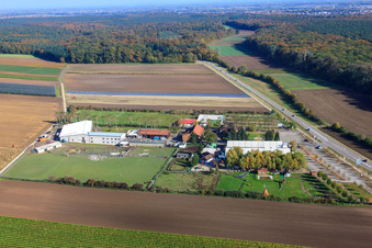 Adamshof à Kandel dans le département Rhénanie-Palatinat, Allemagne d'en haut