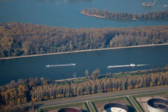 Vue aérienne de Rhin à Karlsruhe à le quartier Knielingen in Karlsruhe dans le département Bade-Wurtemberg, Allemagne