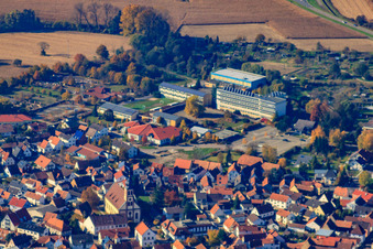 Photographie aérienne de École primaire Hainbuchenschule Hagenbach à Hagenbach dans le département Rhénanie-Palatinat, Allemagne