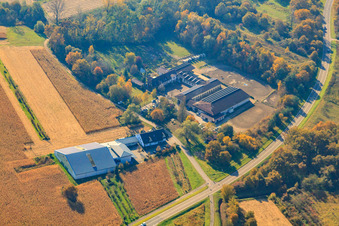 Vue aérienne de Ferme équestre à Hagenbach dans le département Rhénanie-Palatinat, Allemagne