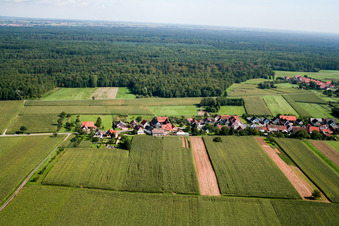 Schleithal dans le département Bas Rhin, France vue du ciel