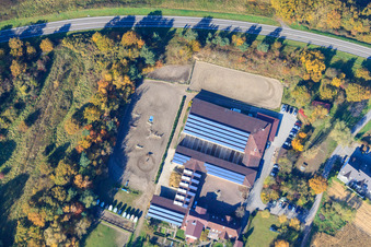 Vue oblique de Ferme équestre à Hagenbach dans le département Rhénanie-Palatinat, Allemagne