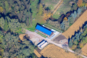 Vue aérienne de Chemin des géraniums à Hagenbach dans le département Rhénanie-Palatinat, Allemagne