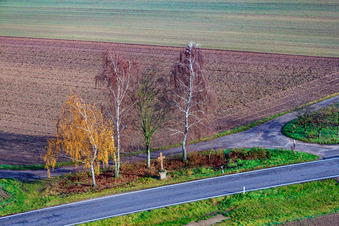 Vue aérienne de Croix de chemin entre Hayna et Hatzenbühl à Hatzenbühl dans le département Rhénanie-Palatinat, Allemagne