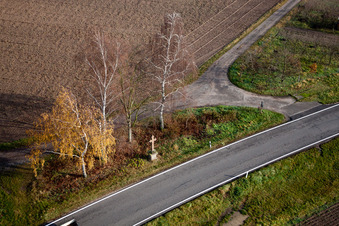 Vue aérienne de Rangée d'arbres et croix de chemin sur une route de campagne au bord d'un champ à Hatzenbühl dans le département Rhénanie-Palatinat, Allemagne