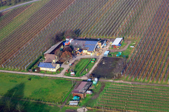 Vue aérienne de Magasin de la ferme de Gensheim à Steinweiler dans le département Rhénanie-Palatinat, Allemagne