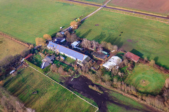Vue aérienne de Ferme de réinstallation à Billigheim-Ingenheim dans le département Rhénanie-Palatinat, Allemagne