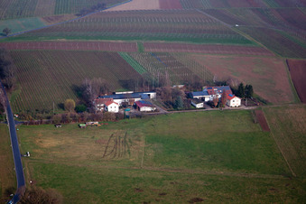 Quartier Deutschhof in Kapellen-Drusweiler dans le département Rhénanie-Palatinat, Allemagne vue d'en haut