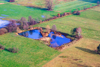 Vue aérienne de Biotope dans la plaine d'Otterbach à Minfeld dans le département Rhénanie-Palatinat, Allemagne
