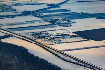 Vue aérienne de Adamshof en hiver avec de la neige à Kandel dans le département Rhénanie-Palatinat, Allemagne