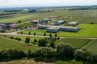 Scheibenhardt à Scheibenhard dans le département Bas Rhin, France d'en haut